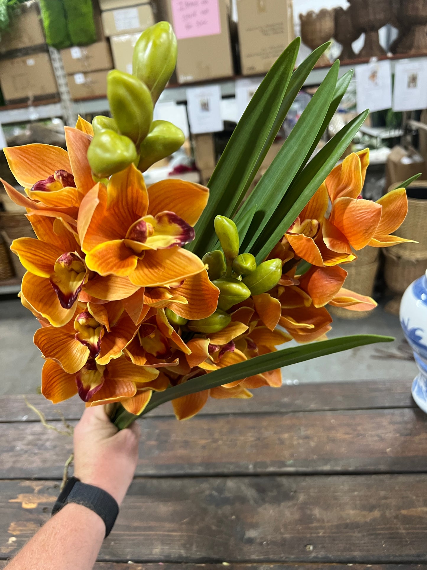 Gold Orchid Cymbidium Open