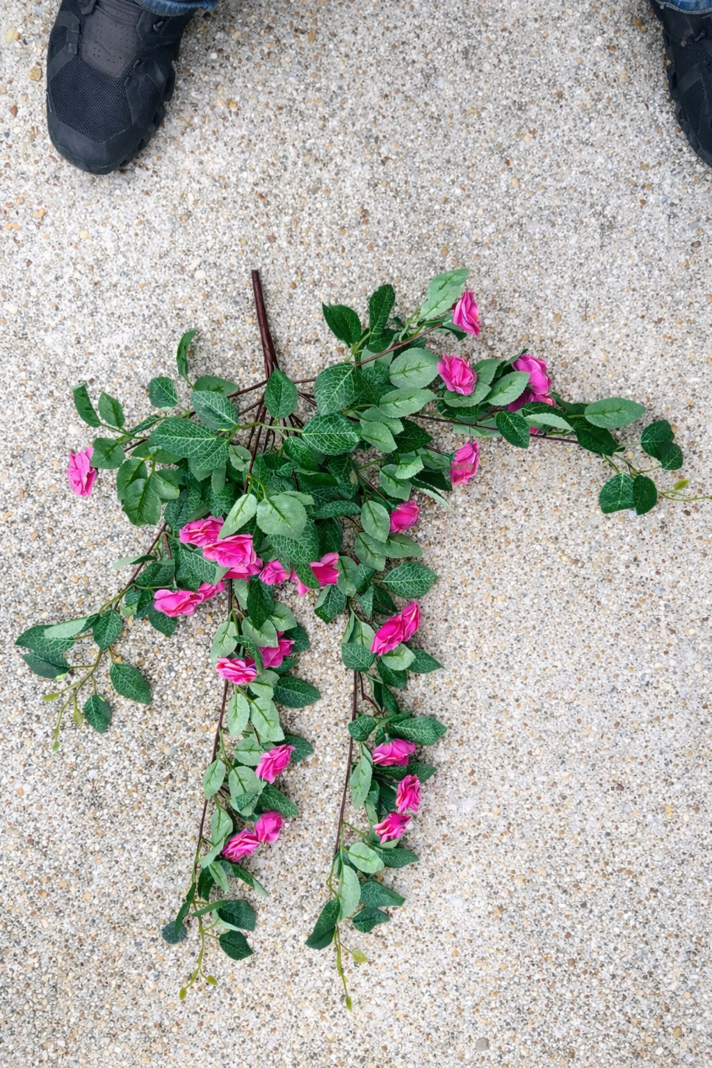 Mini Hanging Rose Vine
