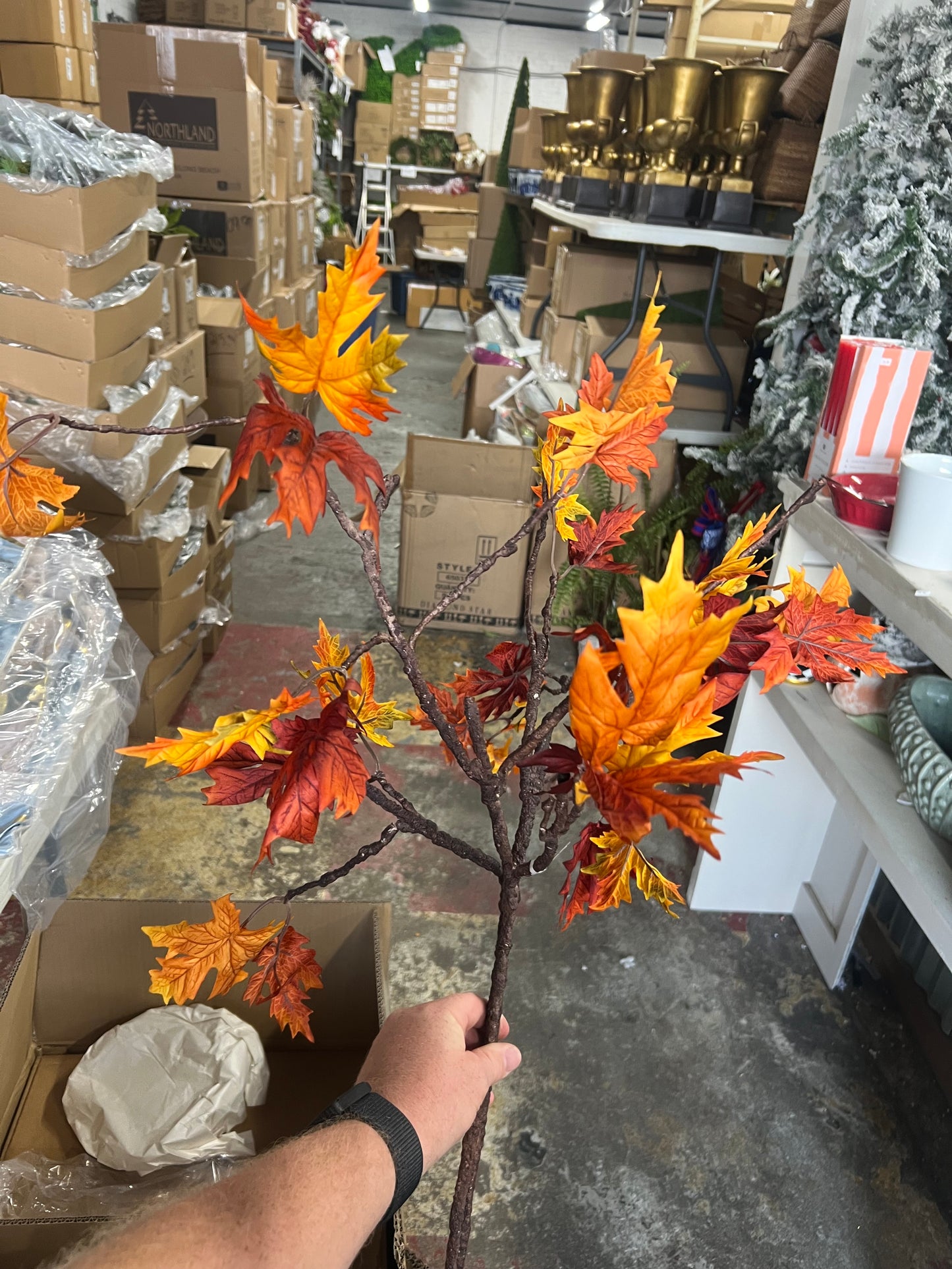 Maple Spray Bundle of 2