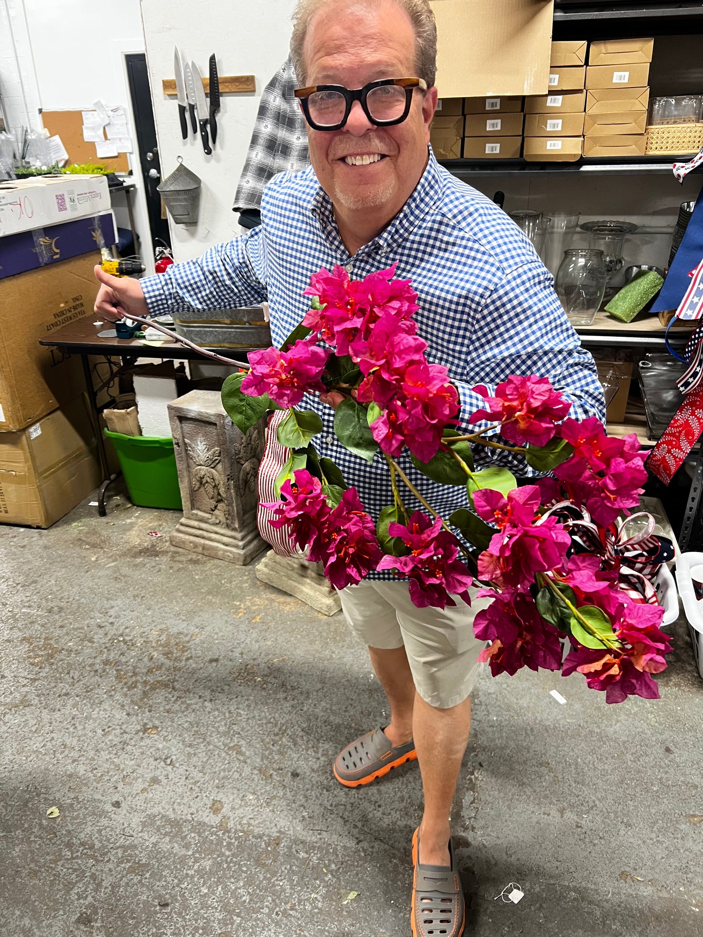 Hanging Bougainvillea