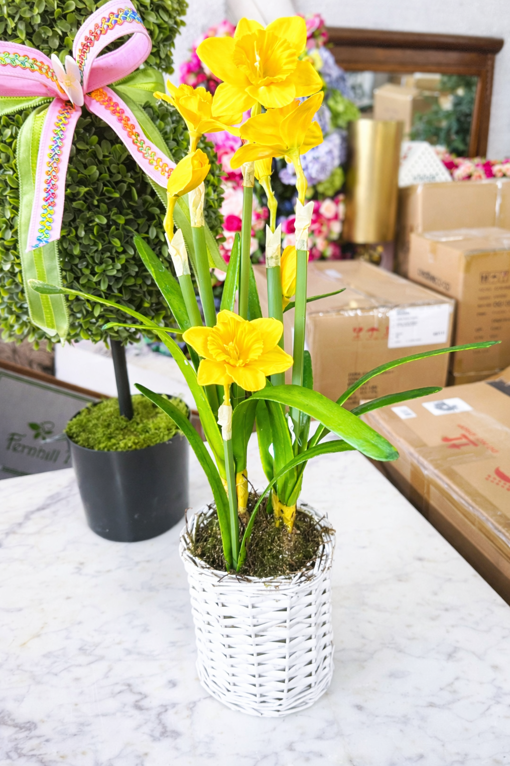 Daffodil in basket