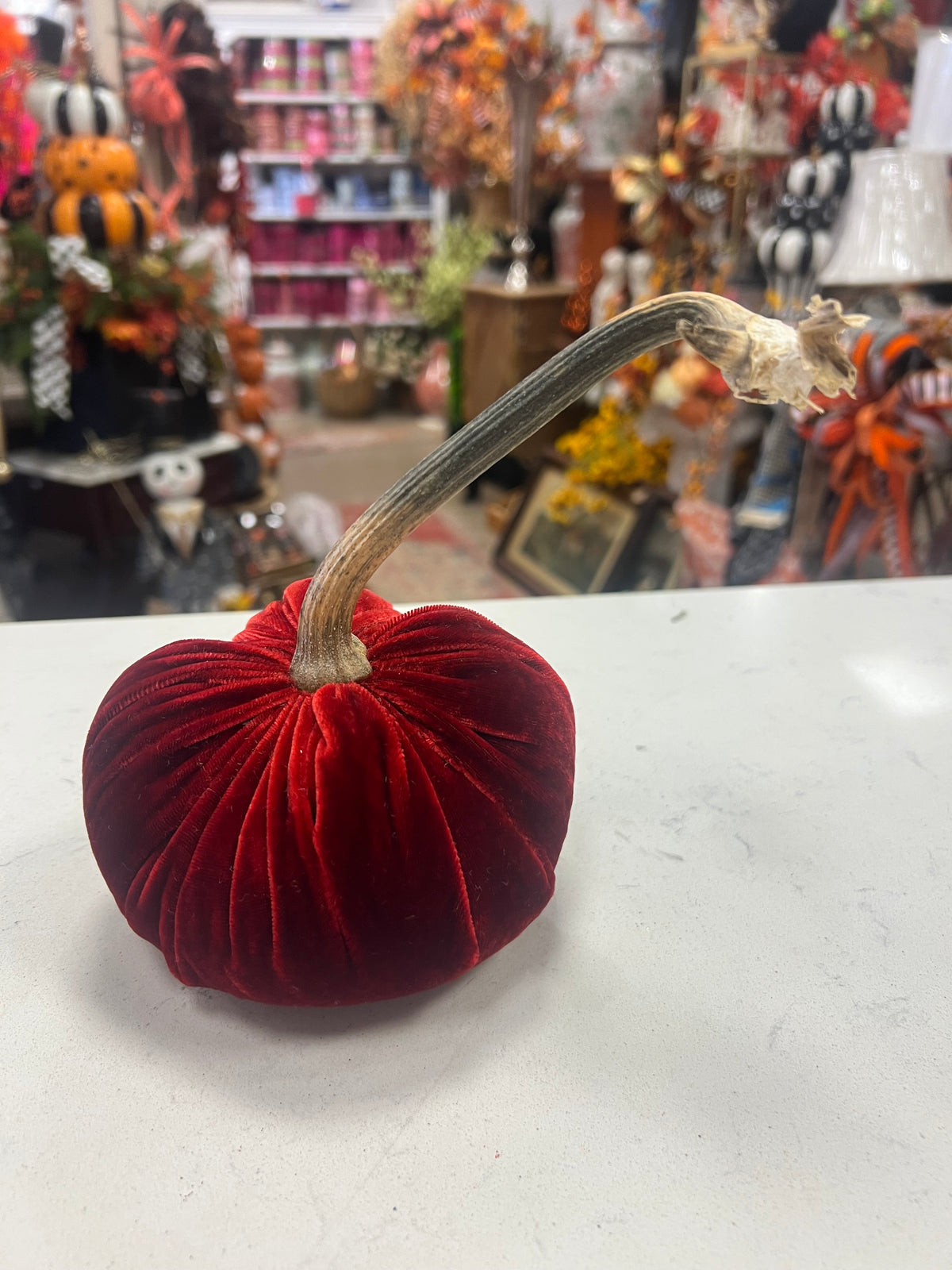 5 in DIA Crimson Velvet Bean Weighted Pumpkin with Real Pumpkin Stalk (each stalk will very in size and shape)