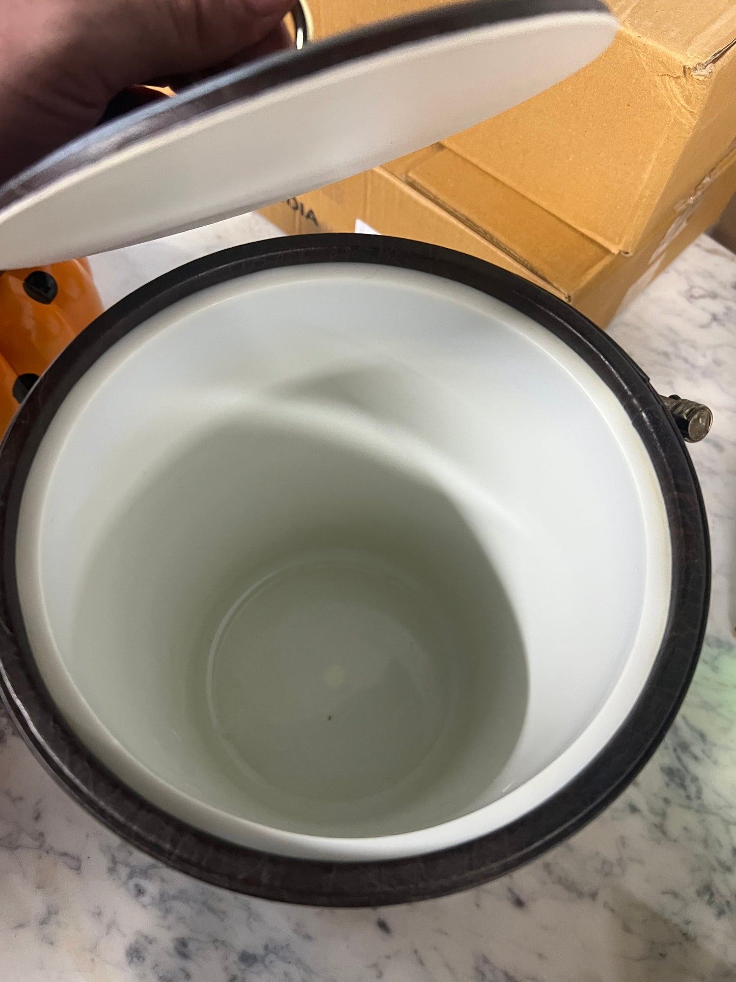 Vintage Duck Ice Bucket with Handle 2