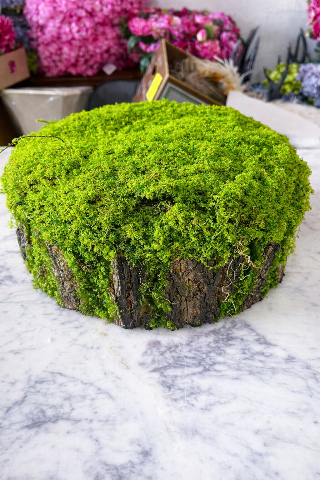 Mossy Stump for Decor