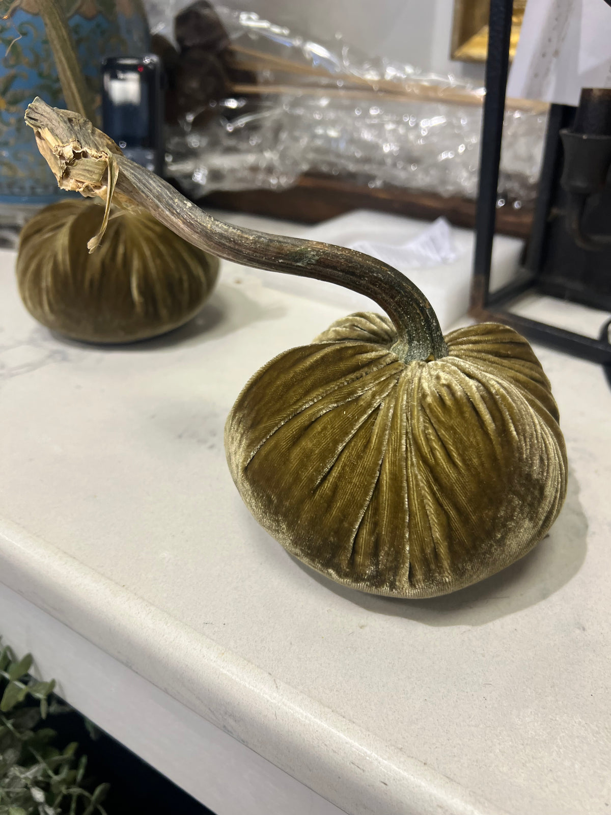 5in DIA Olive Green Velvet Bean Weighted Pumpkin with Real Pumpkin Stalk (each stalk will very in size and shape)