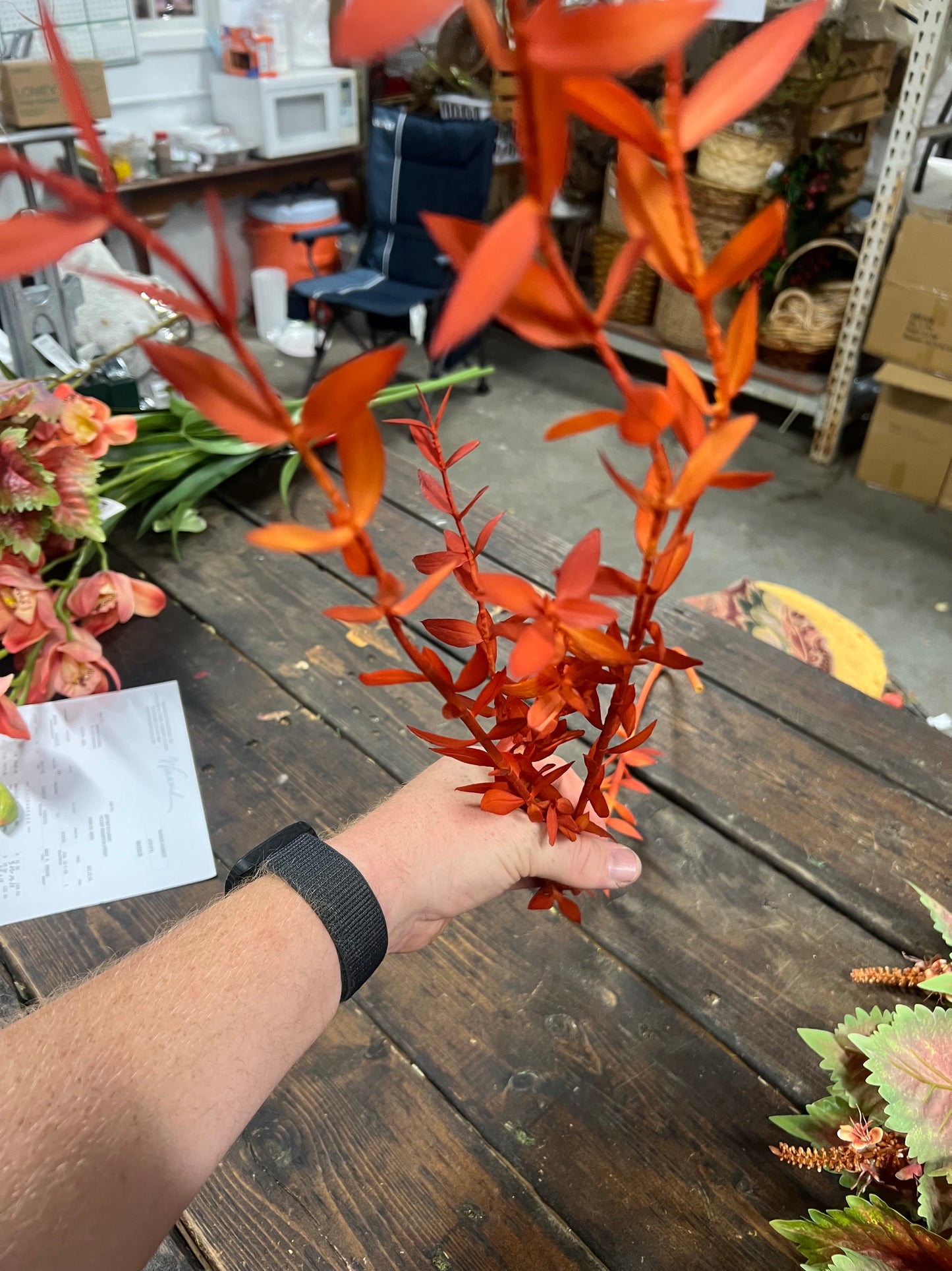 Eucalyptus Parvifol Leaf Spray