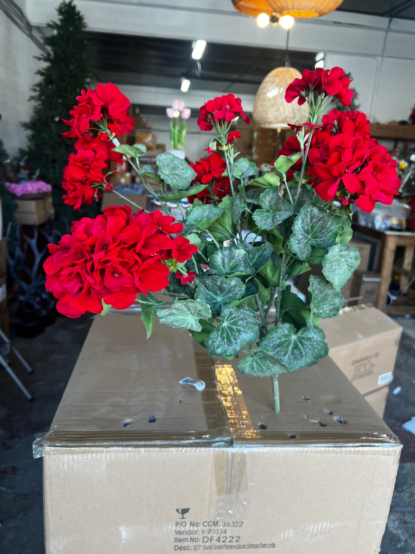 24” Water Red Geranium Bush Stem