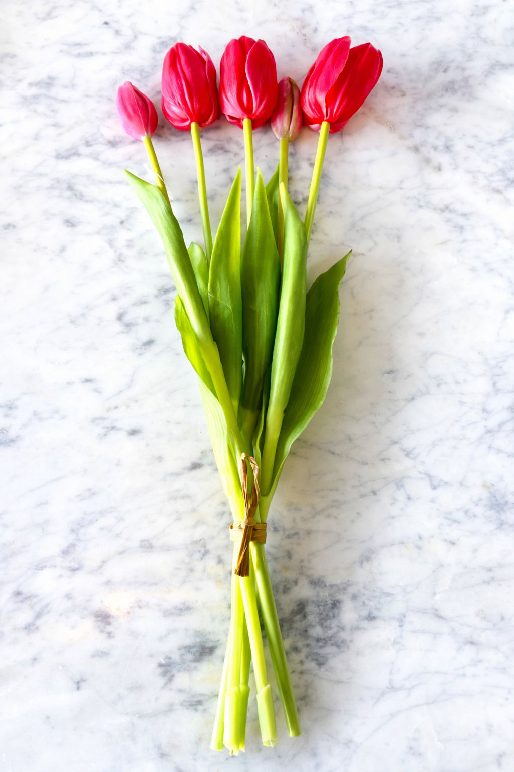 Hot Pink Tulip Bundle of 5 stems