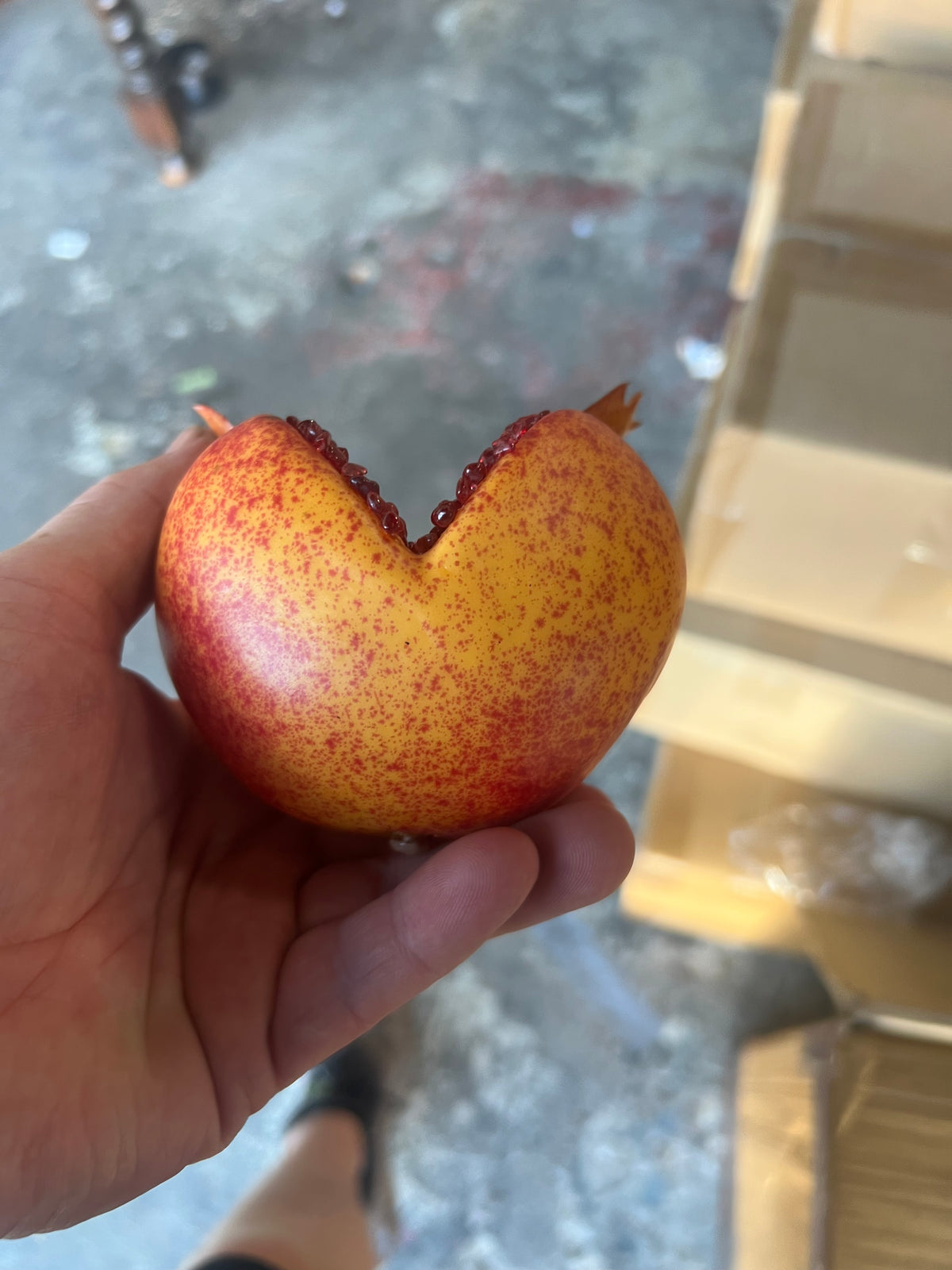 Set of 3 Open Pomegranate Orange