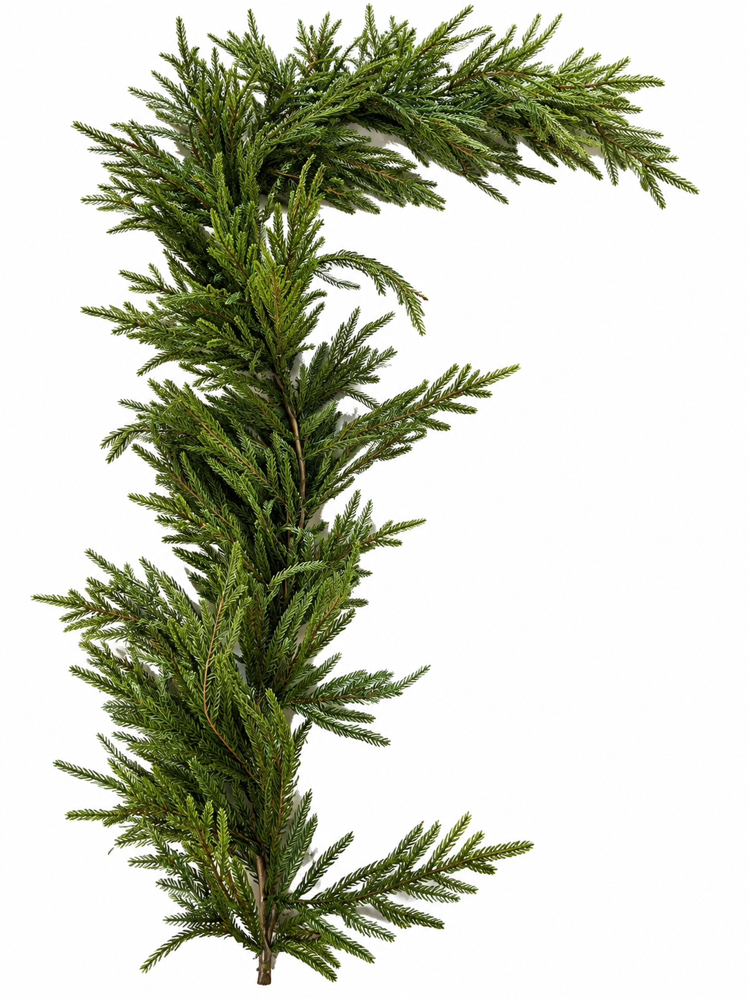 6’ Christmas Norfolk Pine Garland (2)