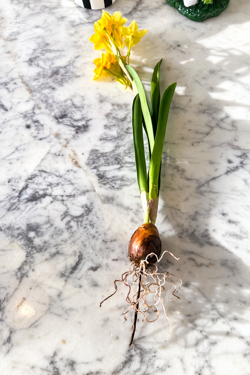 Yellow real touch daffodil bulb pick