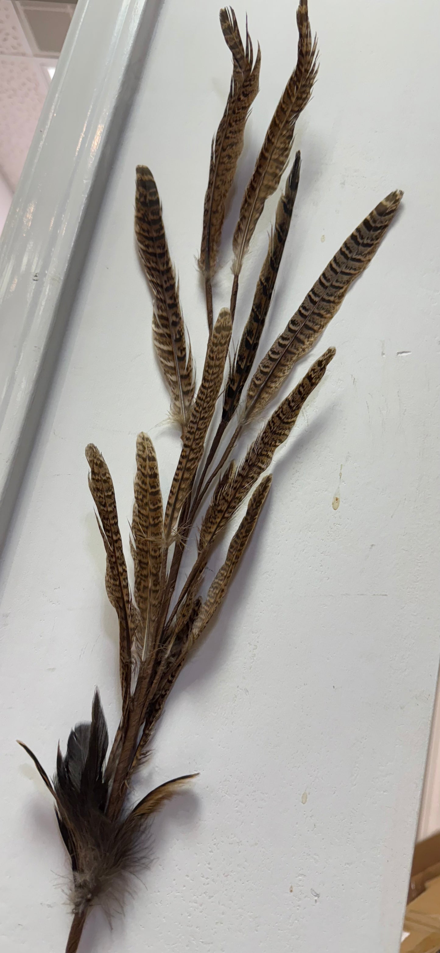 30” Pheasant Feather Stem