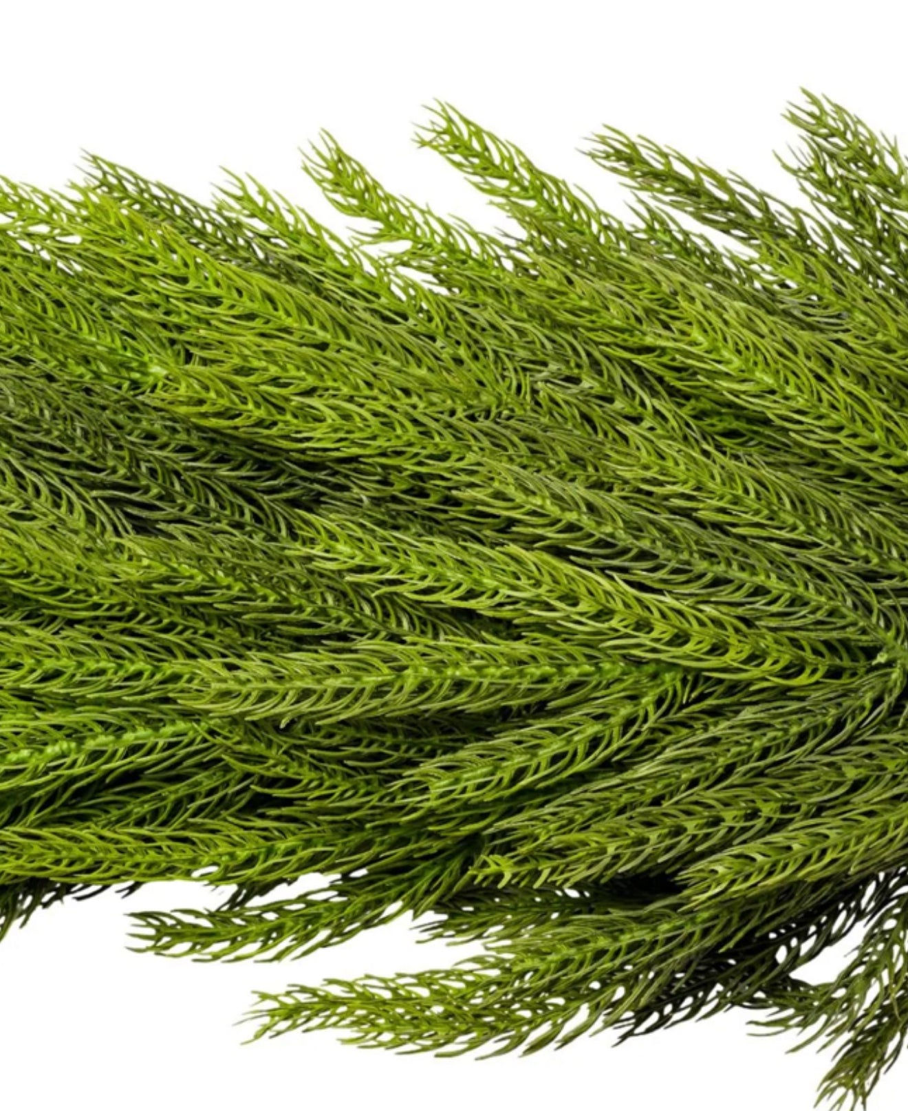 72” Norfolk Pine Garland (#10)