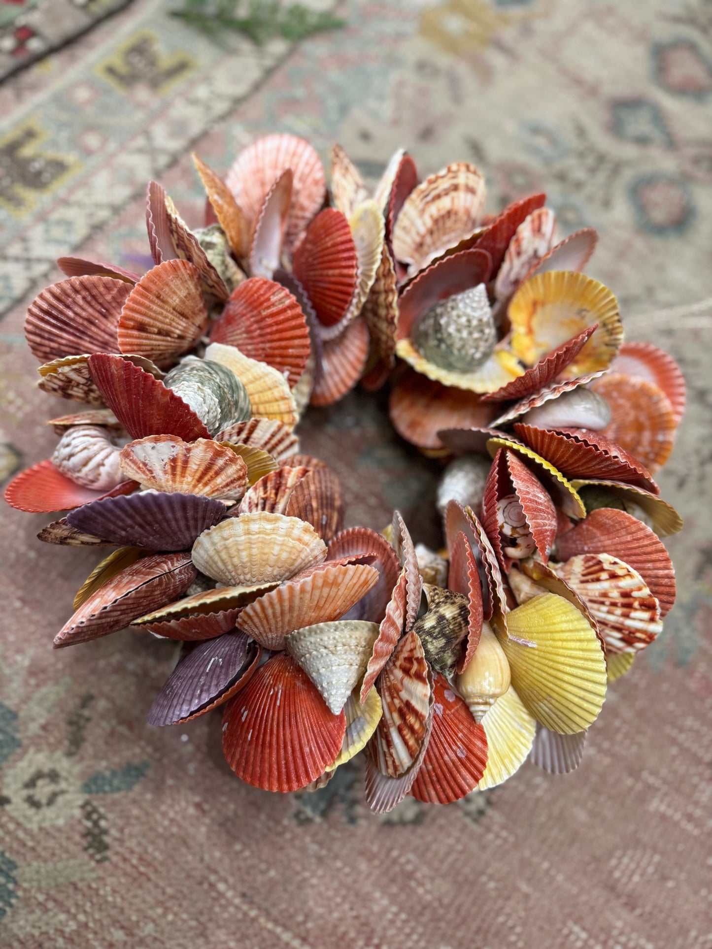 11” Colored Shell Wreath