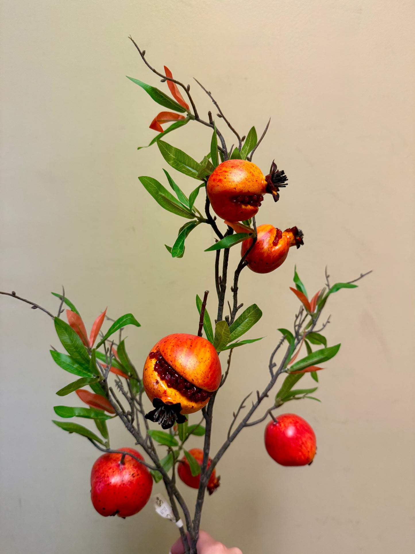 Pomegranate Seed Stem