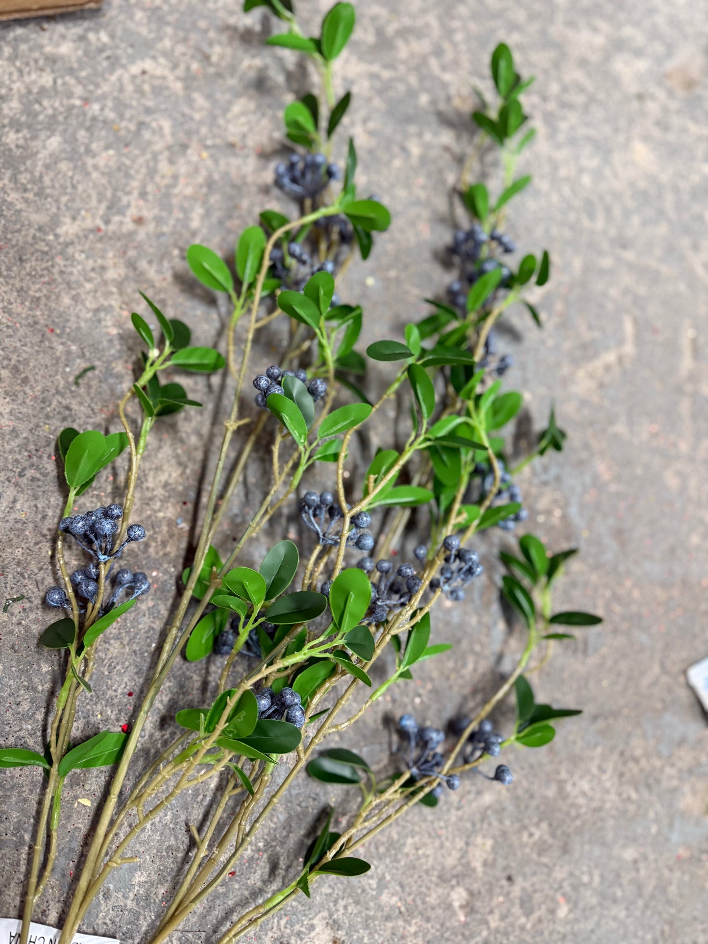 36” Blueberry Stem With Leaves