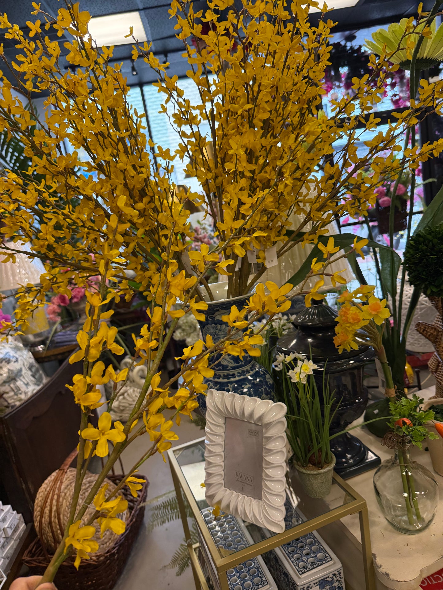 Yellow Forsythia Stems.