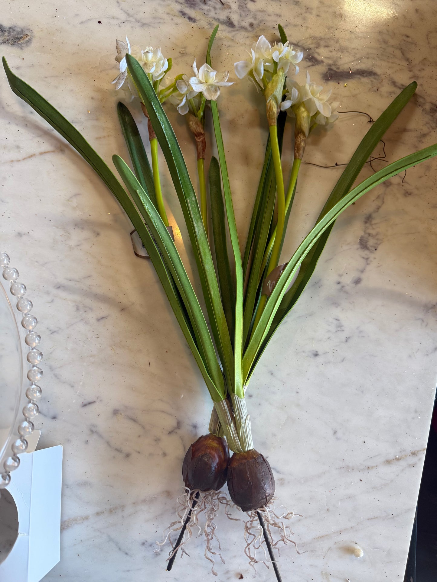 20” Paper White w/ Bulb (2 blooms)