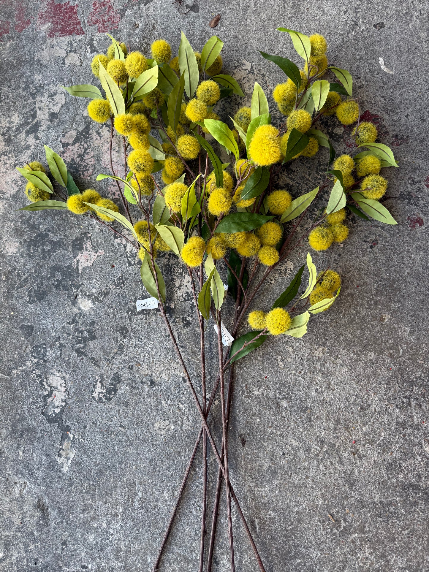 40” Chestnutt & Foilage Spray