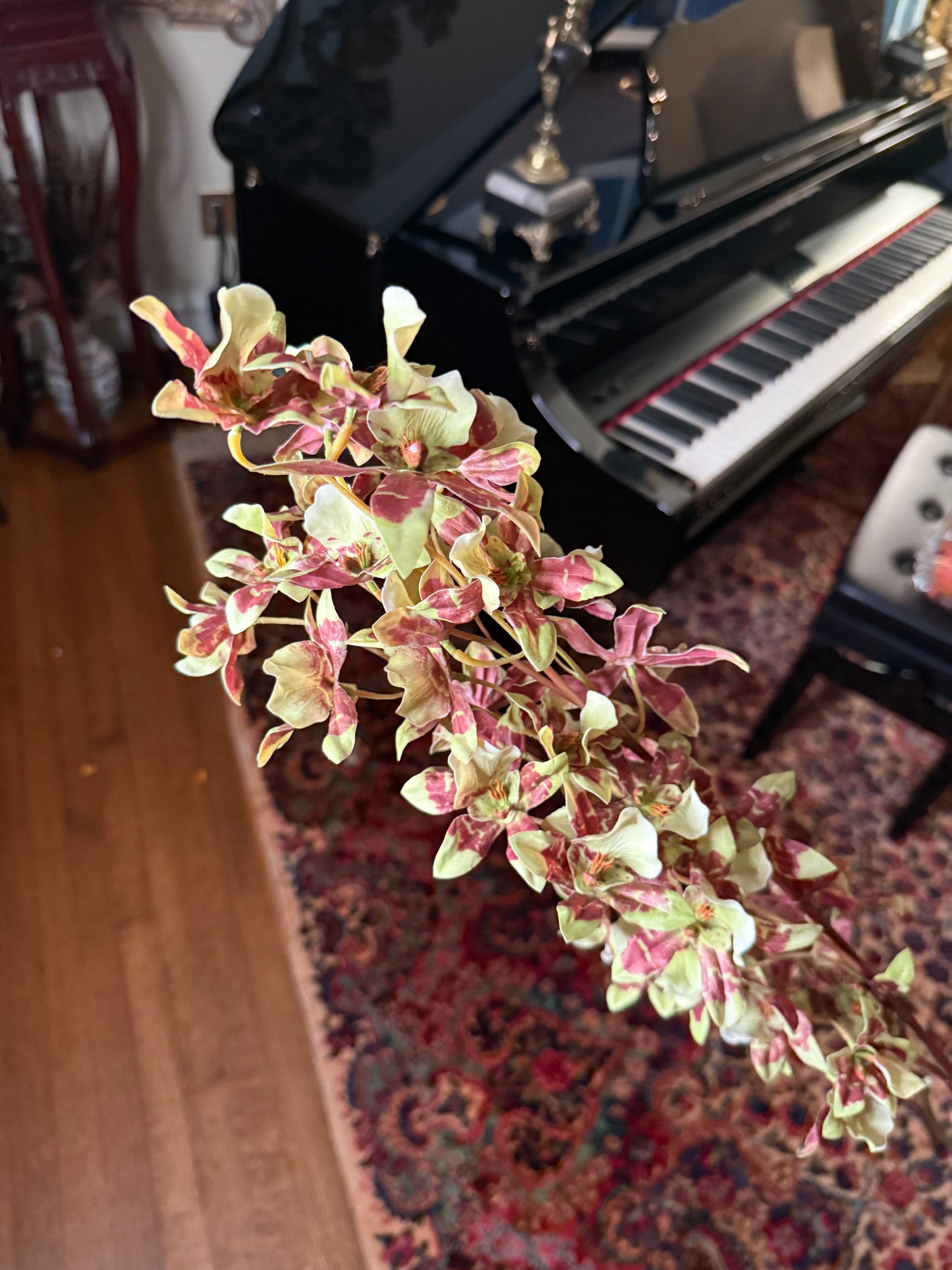 Dancing Orchid Stems