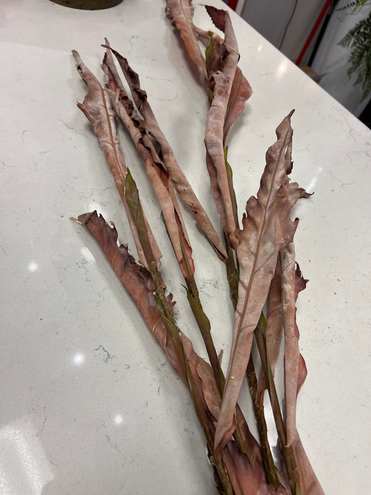 4 Stem Bundle Dusty Rust Curled Leaf Spray