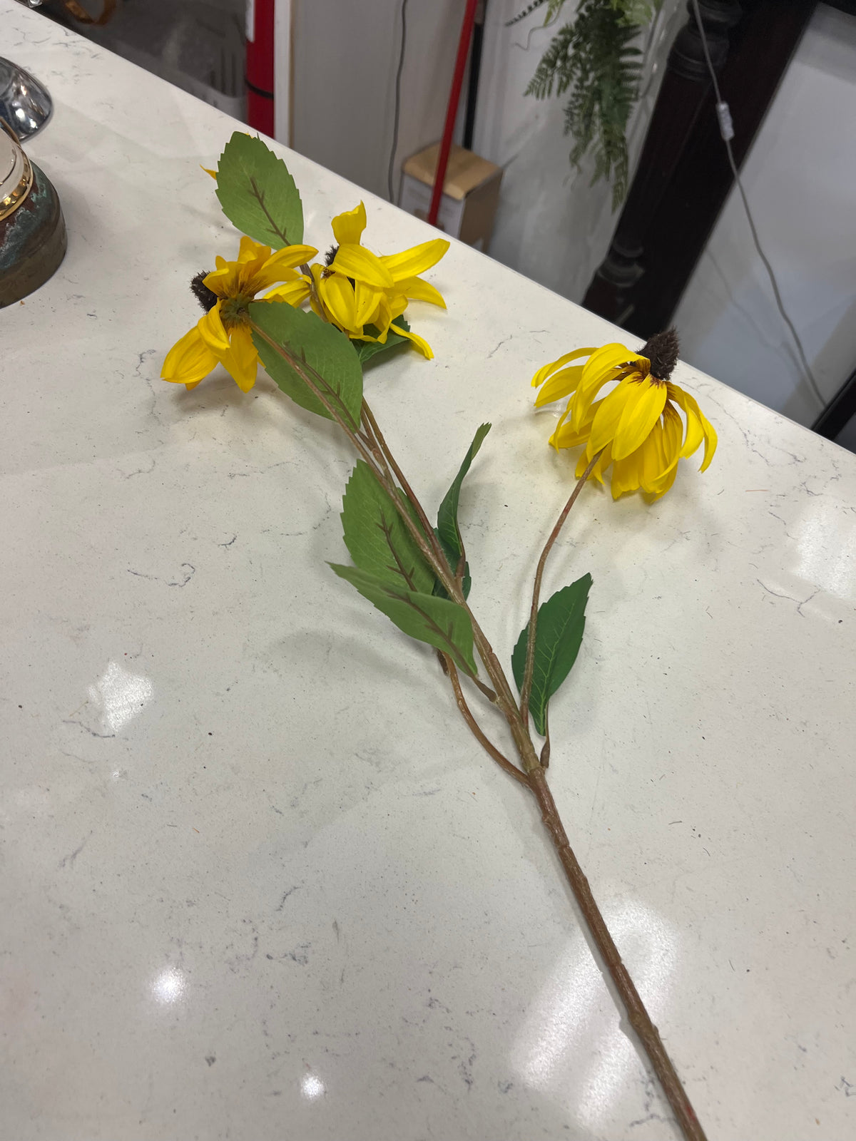 32.5 Rudbeckia Spray Yellow