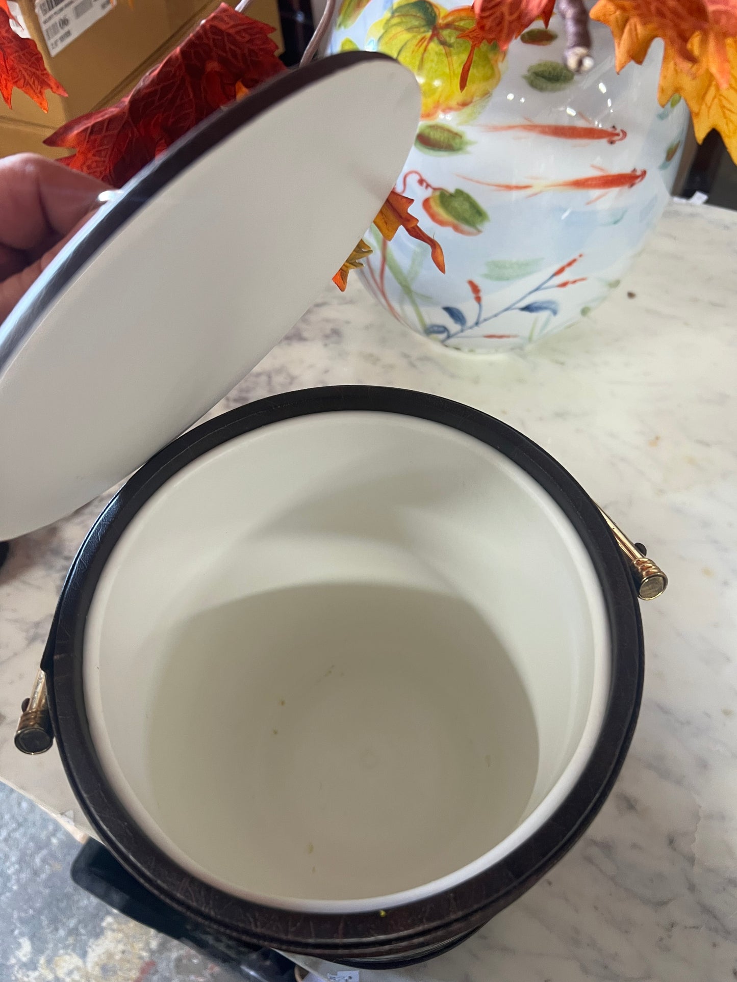 Vintage Duck Ice Bucket with Handle