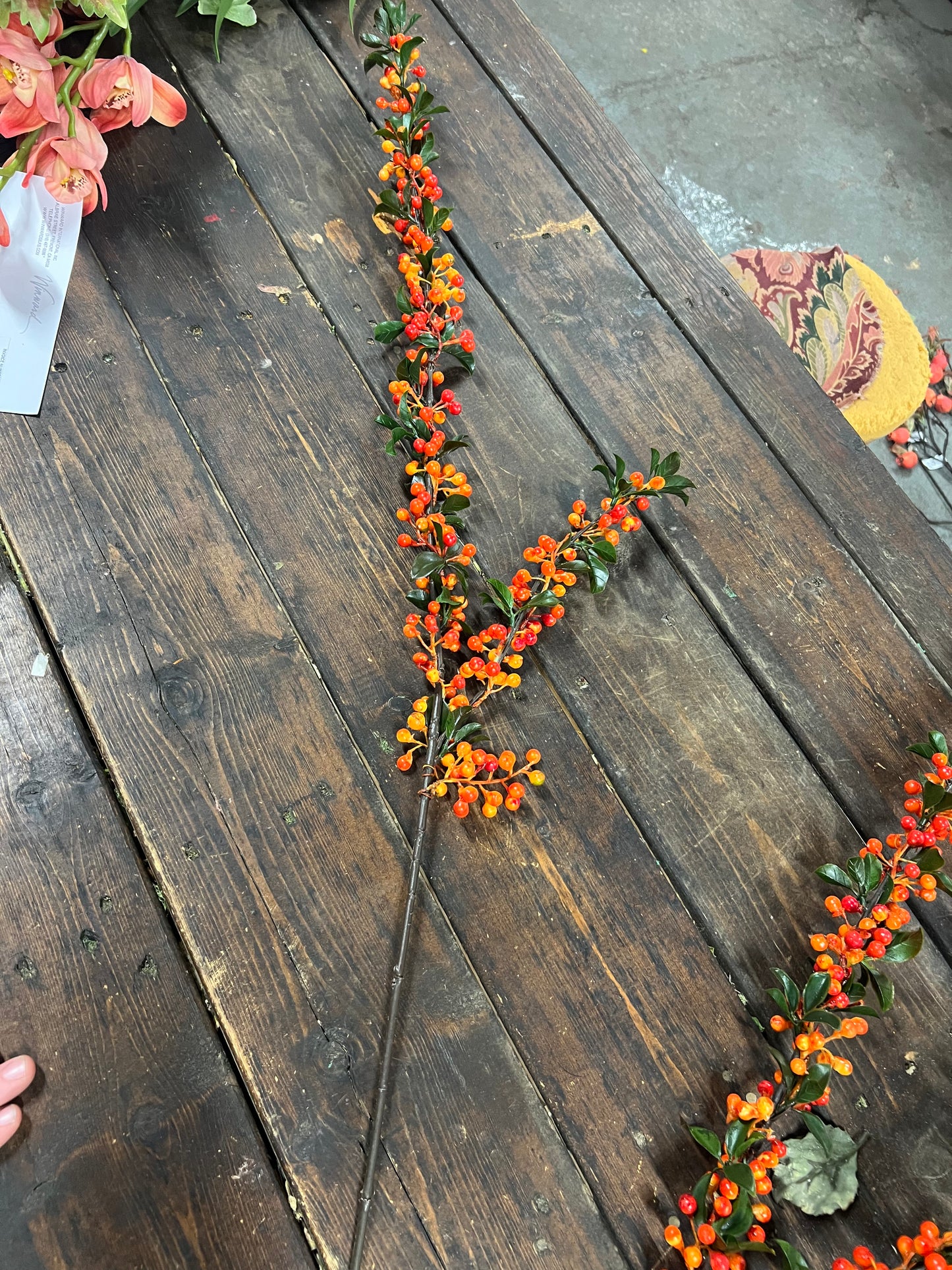 Orange Berry Spray