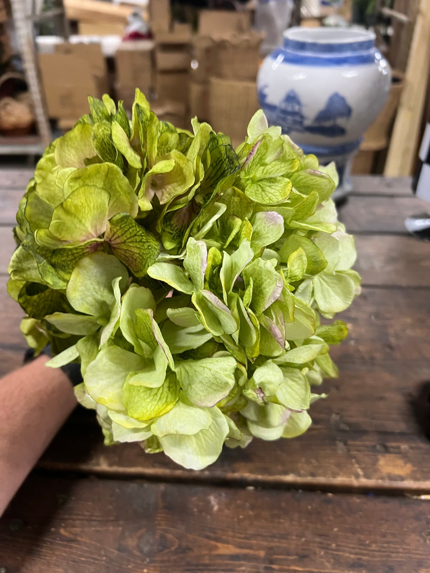 Dried Touch Green Hydrangea Stem