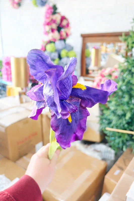 Lavender/purple bearded Iris