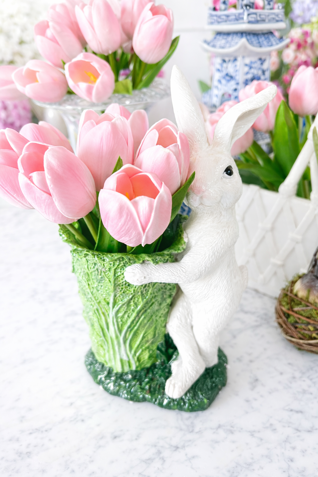Cabbage Bunny Planter bundle with tulips