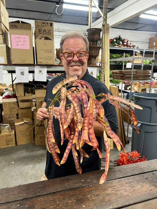 Red-Brown Mimosa Tree Pod Stem