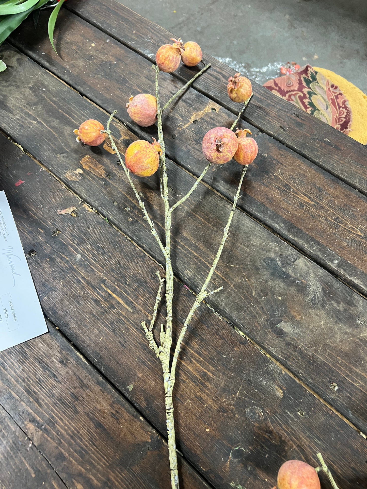 Pomegranate Branch Sunset Orange