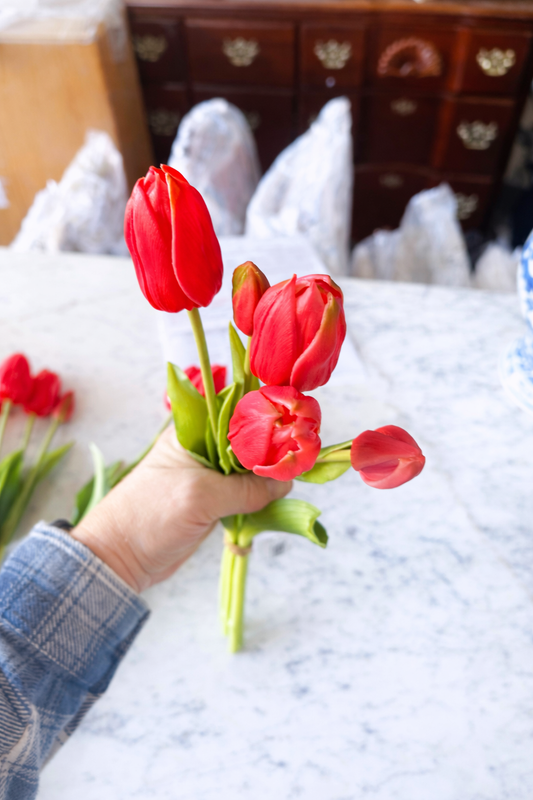 Hot Pink Tulip Bundle of 5 stems