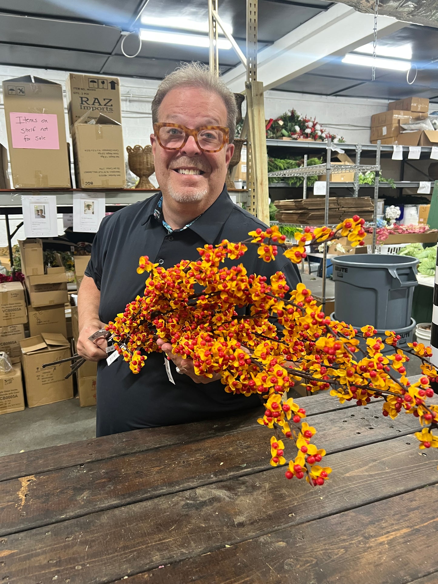 Bittersweet Stem