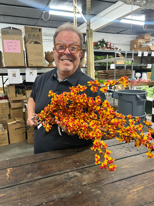 Bittersweet Stem