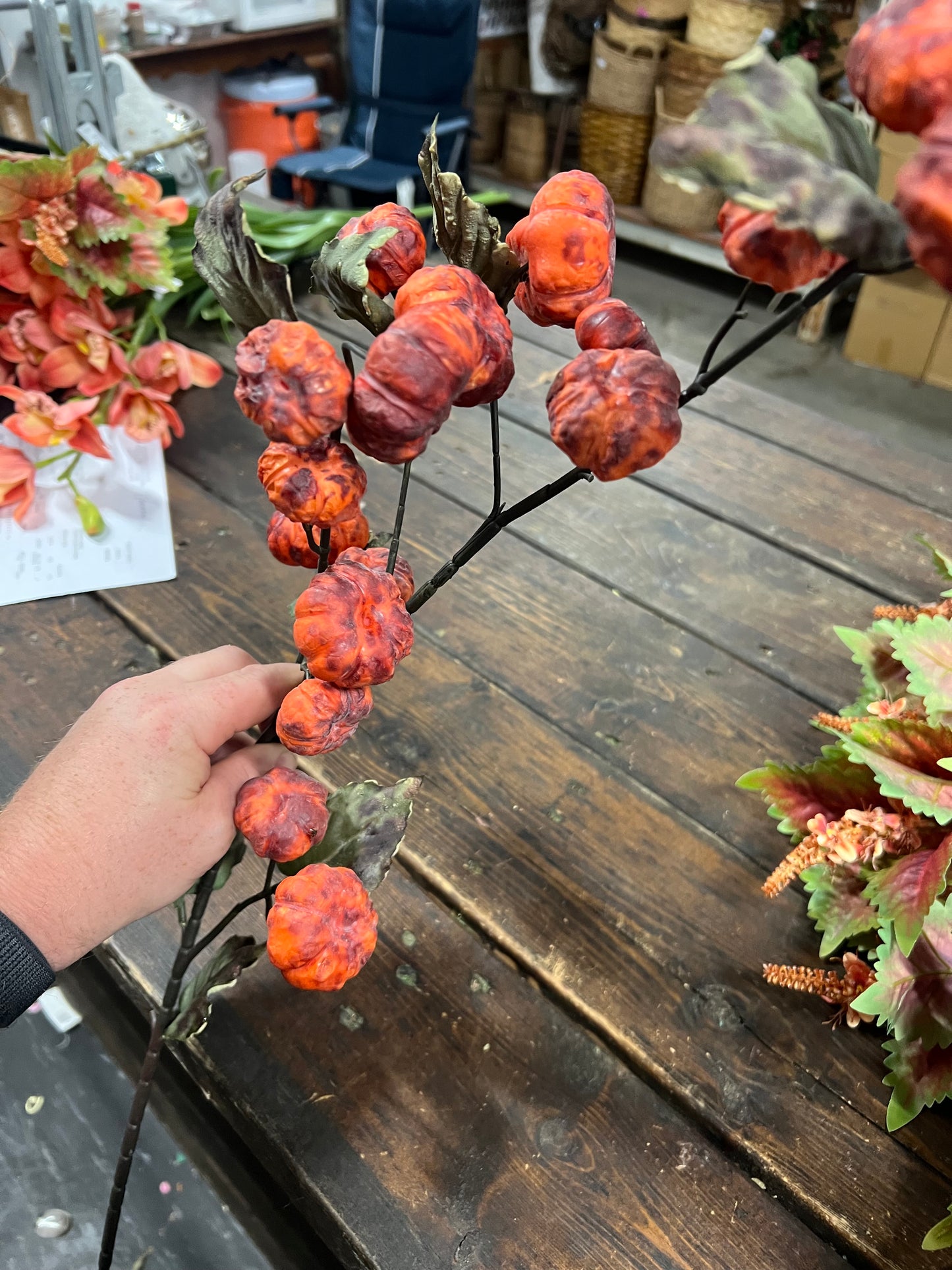Dried Pumpkin Stem Orange