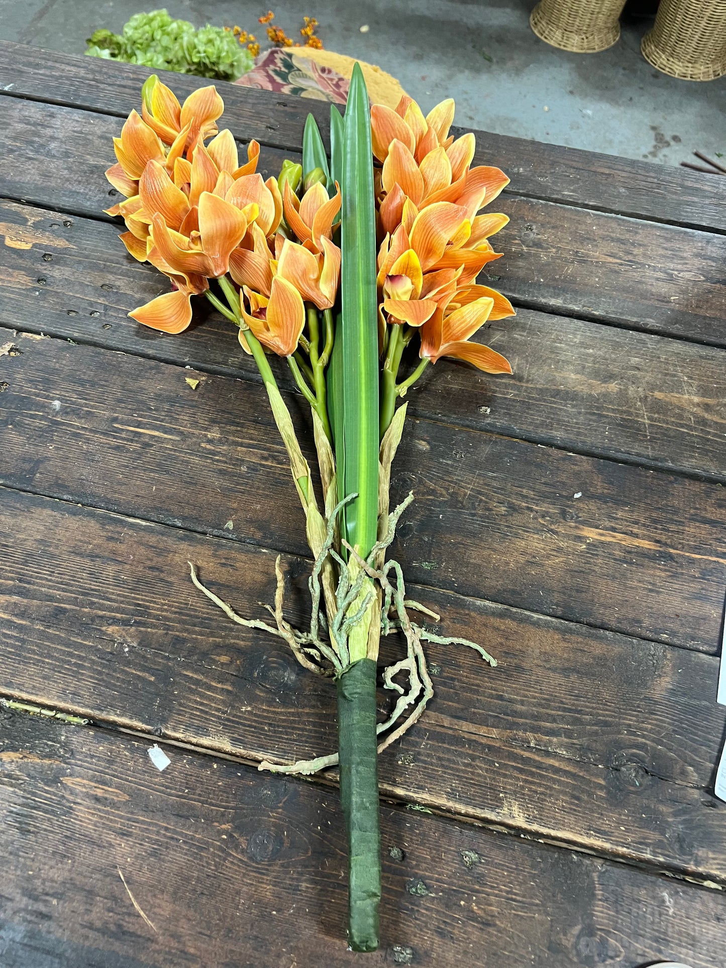Gold Orchid Cymbidium Open
