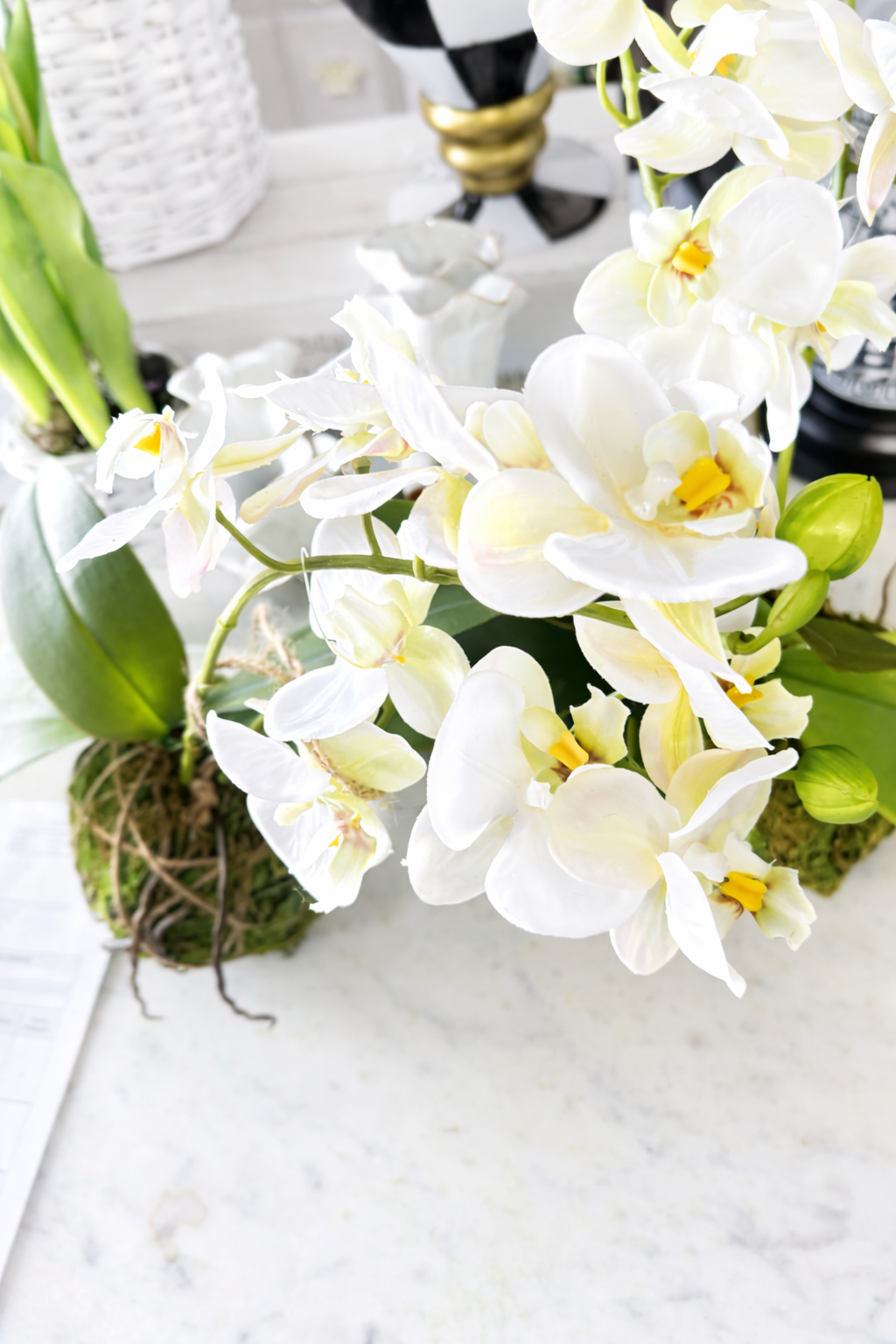 Real Touch White Orchid with Moss Ball