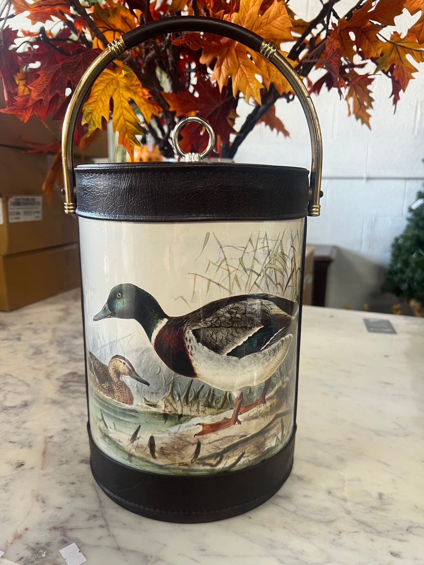 Vintage Duck Ice Bucket with Handle