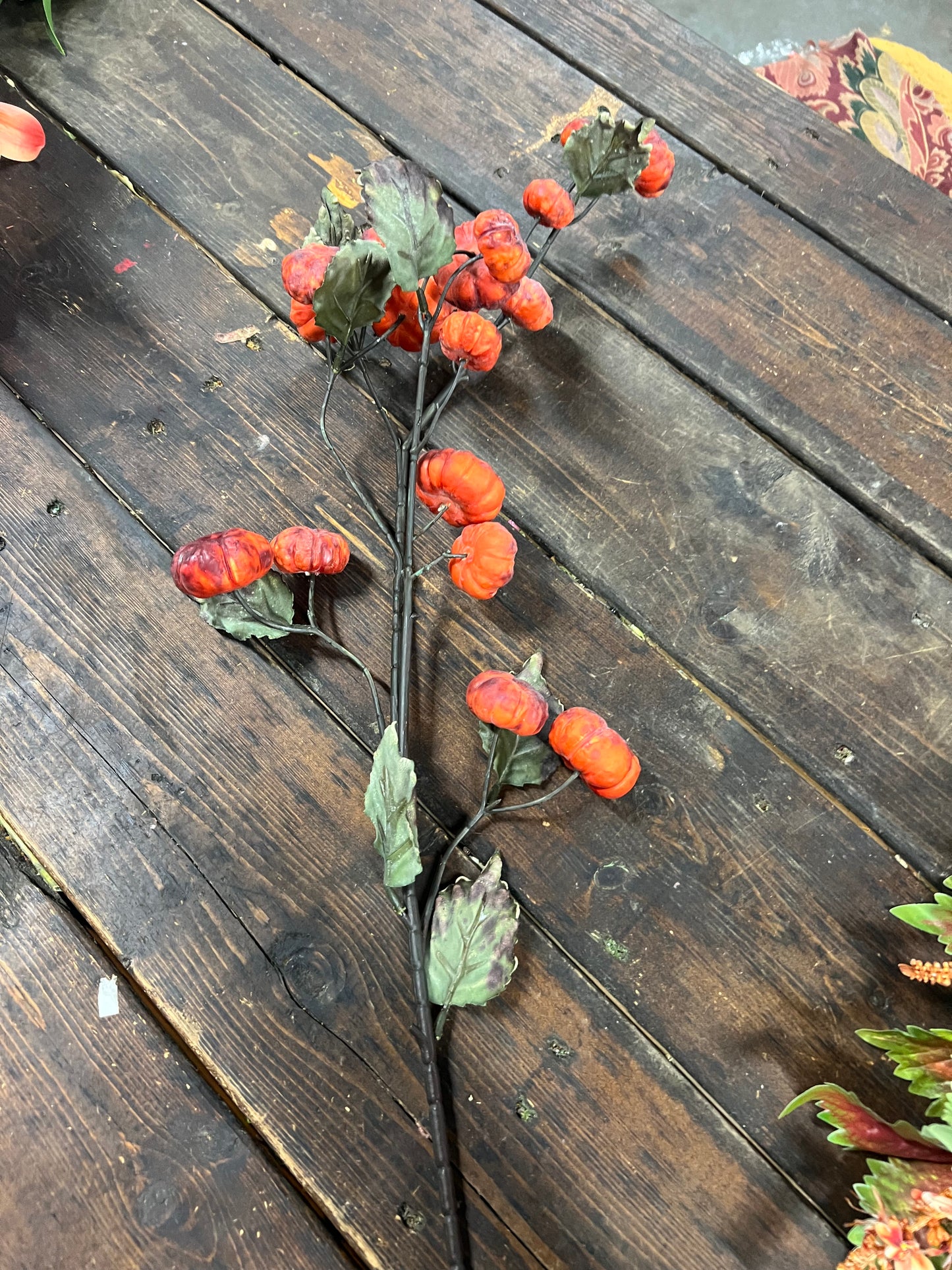 Dried Pumpkin Stem Orange