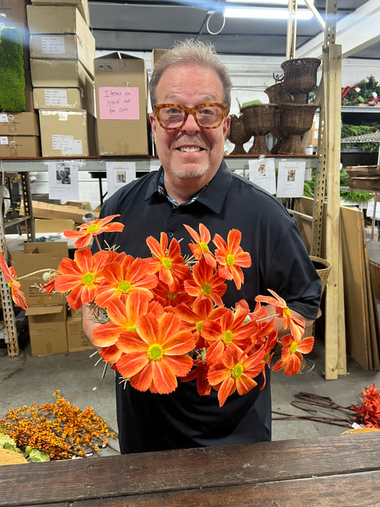 Cosmos Orange