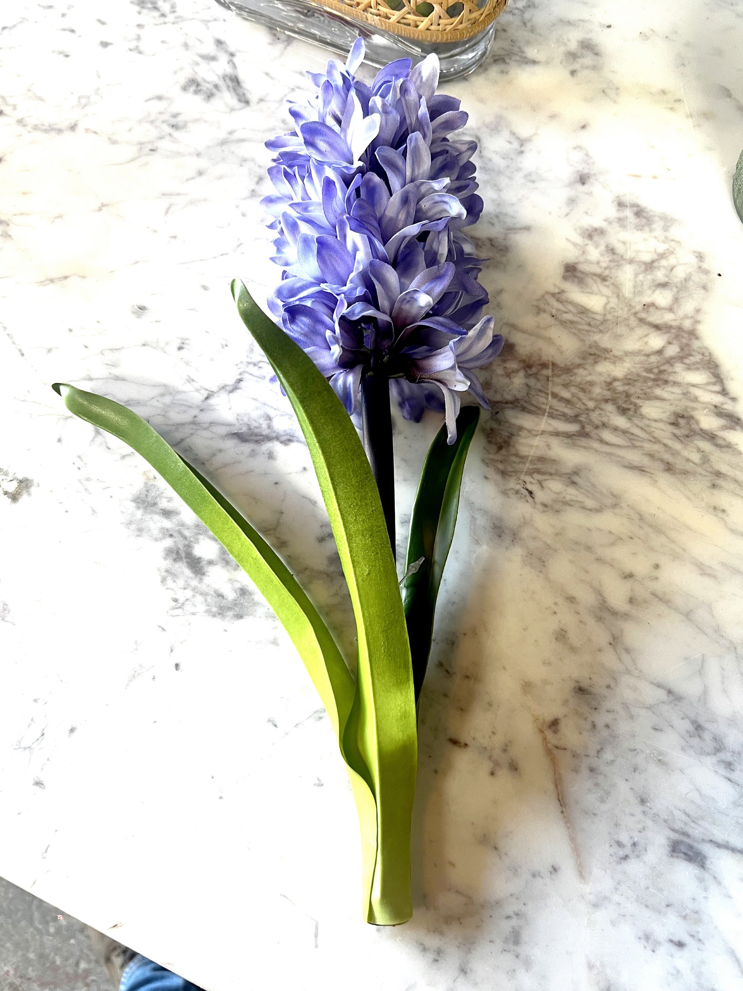 Hyacinth Stem