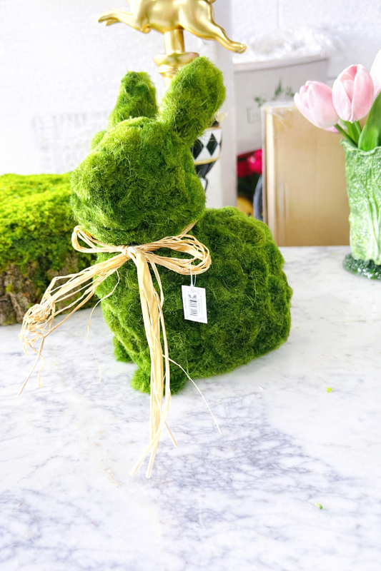 Moss Bunny Sitting With bow