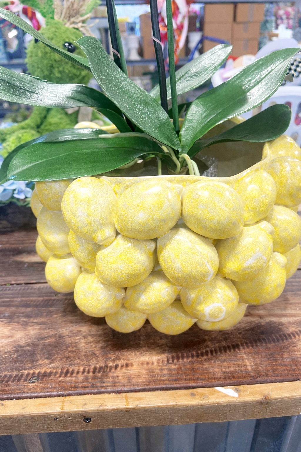 Layered Lemon Pot