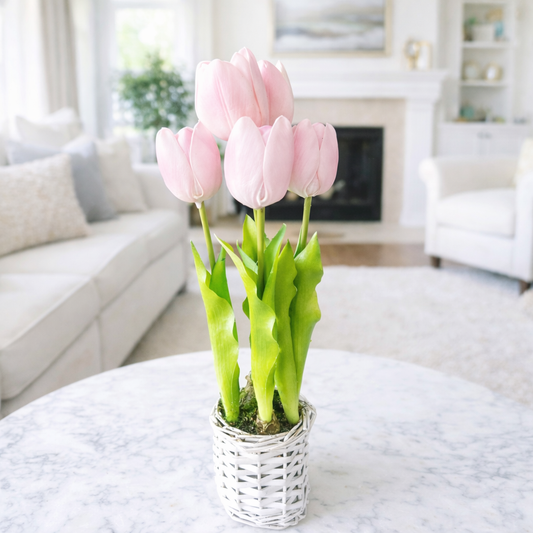 Tulip in basket pink
