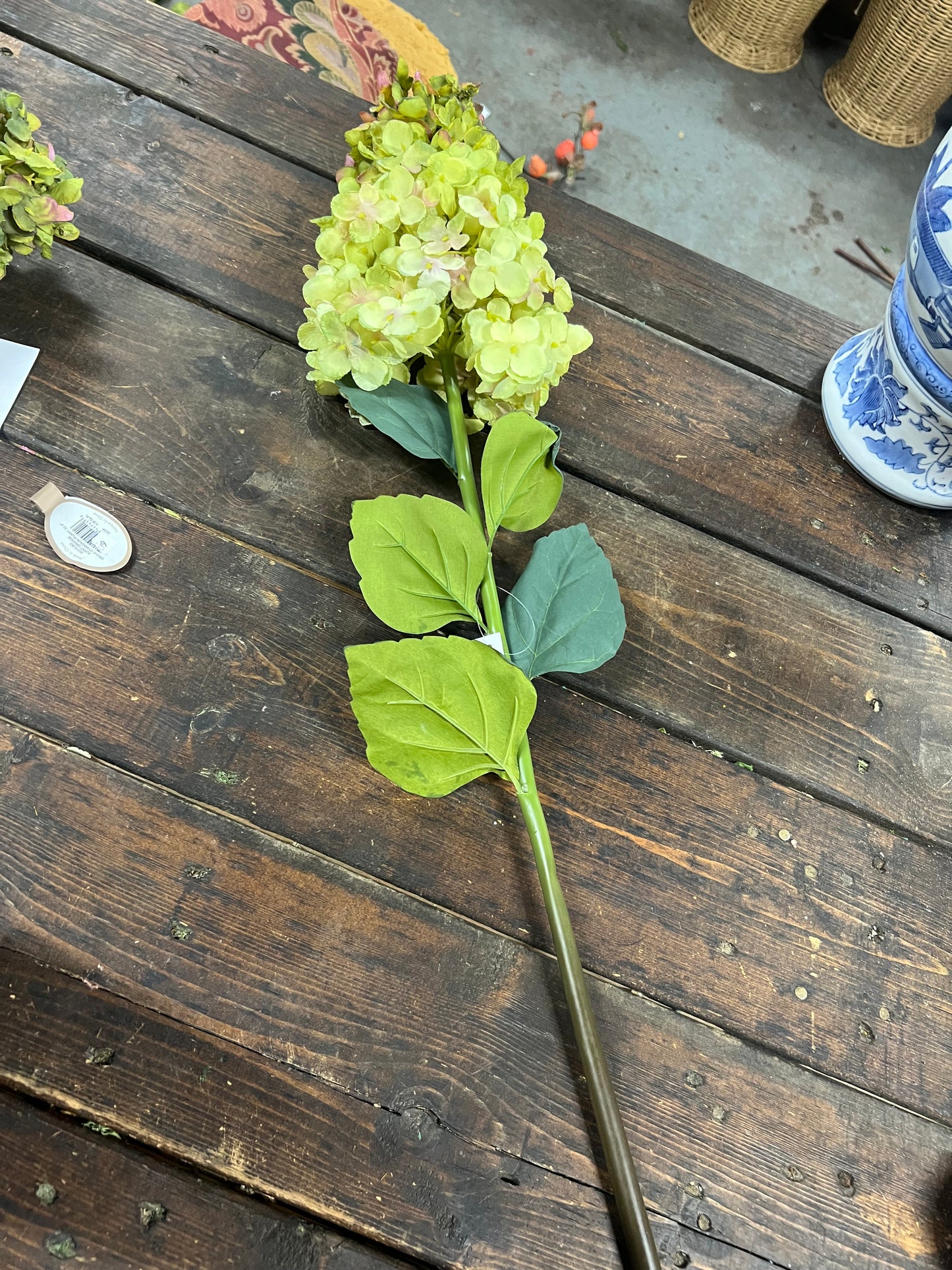 Cone Shaped/Lime Light Hydrangea Stem
