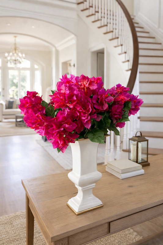 Bougainvillea Stem