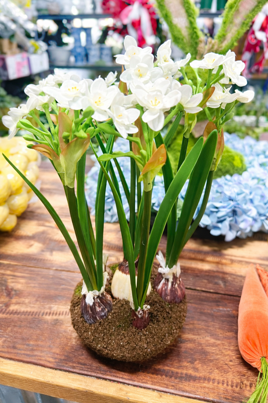 15” Narcissus Drop In