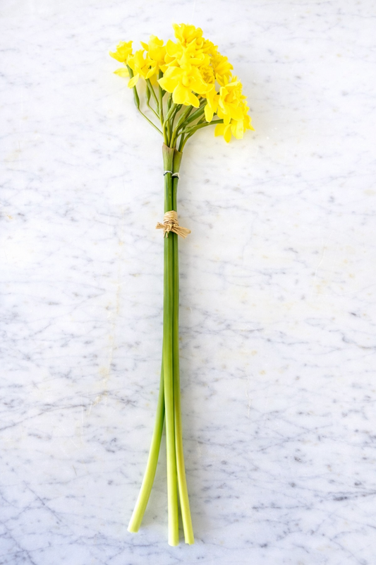 Buttercup Narcissus Stem Bundle